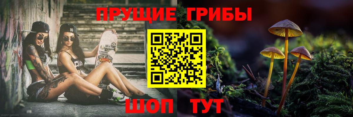 Галлюциногенные грибы Magic Shrooms Кизляр